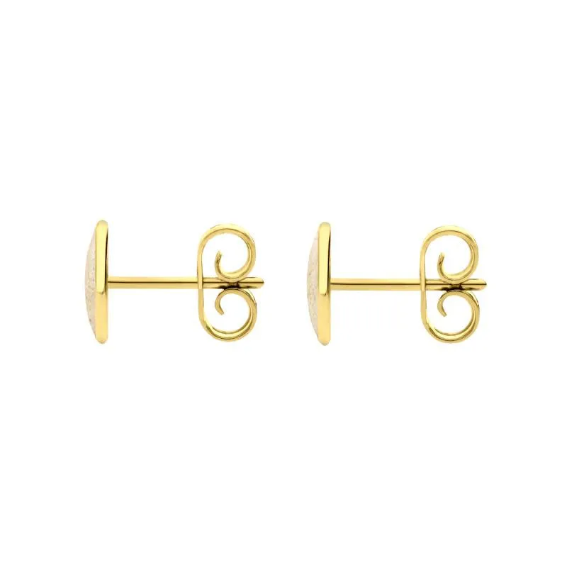 9ct Yellow Gold Coquina 7 x 5mm Classic Small Oval Stud Earrings