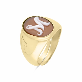 Cameo Italy Yellow Gold Plated Sterling Silver Signet Ring D