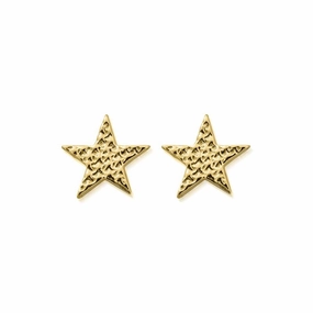 ChloBo Sterling Silver Gold Plated Sparkle Star Stud Earrings