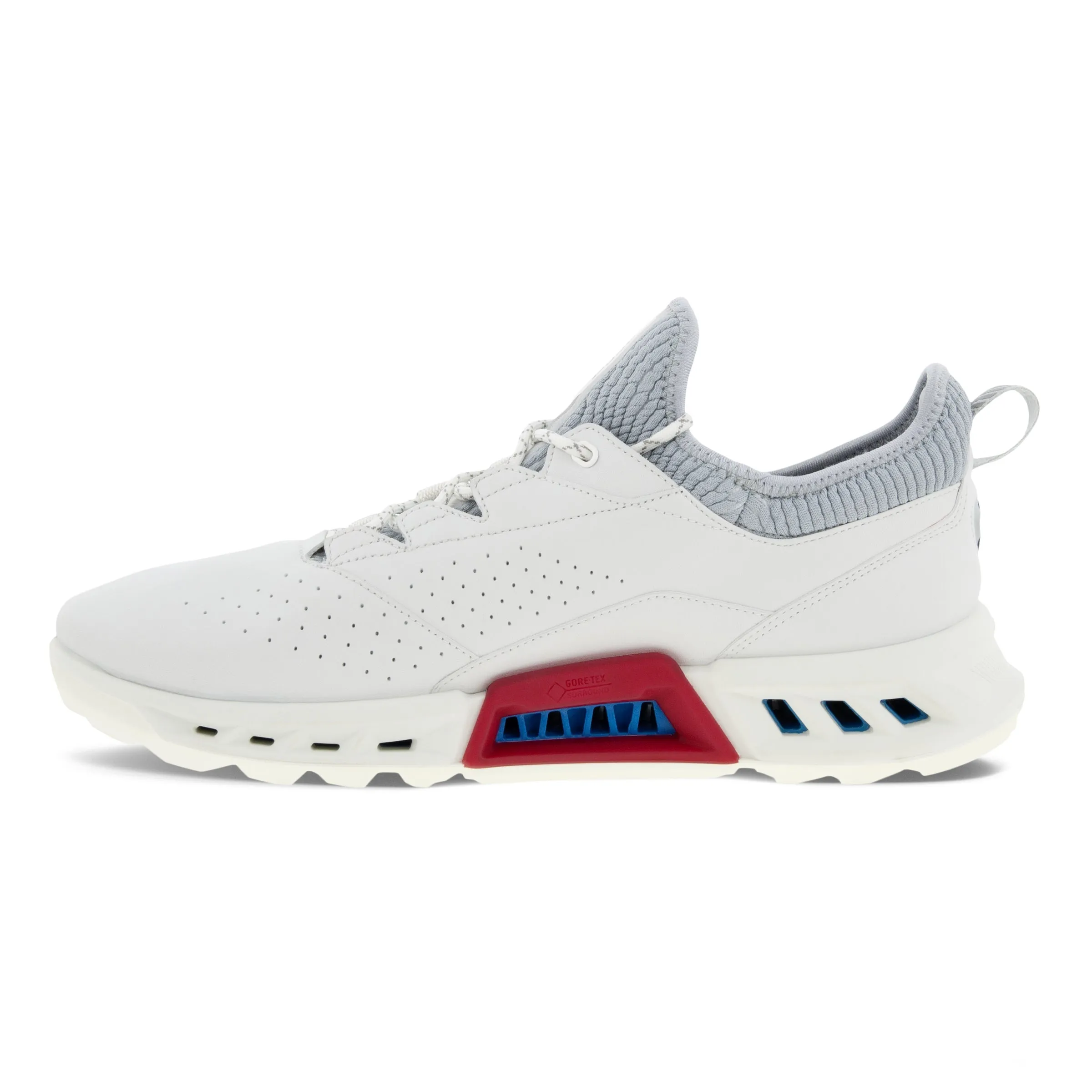 ECCO MEN'S GOLF BIOM C4 SHOE