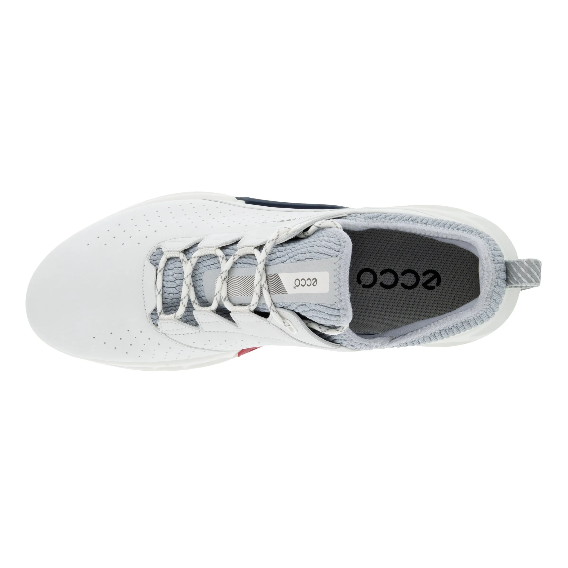 ECCO MEN'S GOLF BIOM C4 SHOE