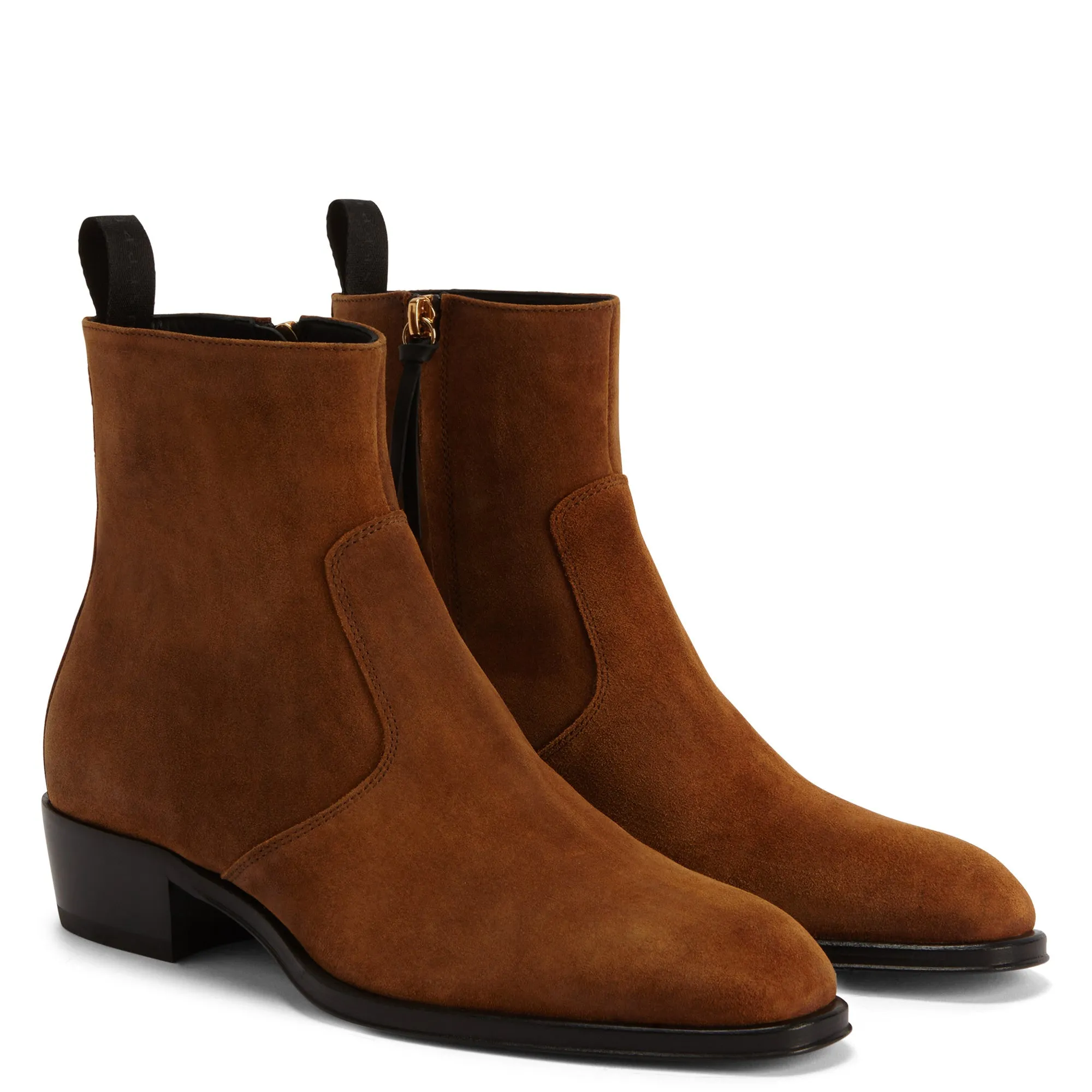 Giuseppe Zanotti Ludhovic