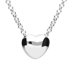 Sterling Silver 3D Heart Necklace