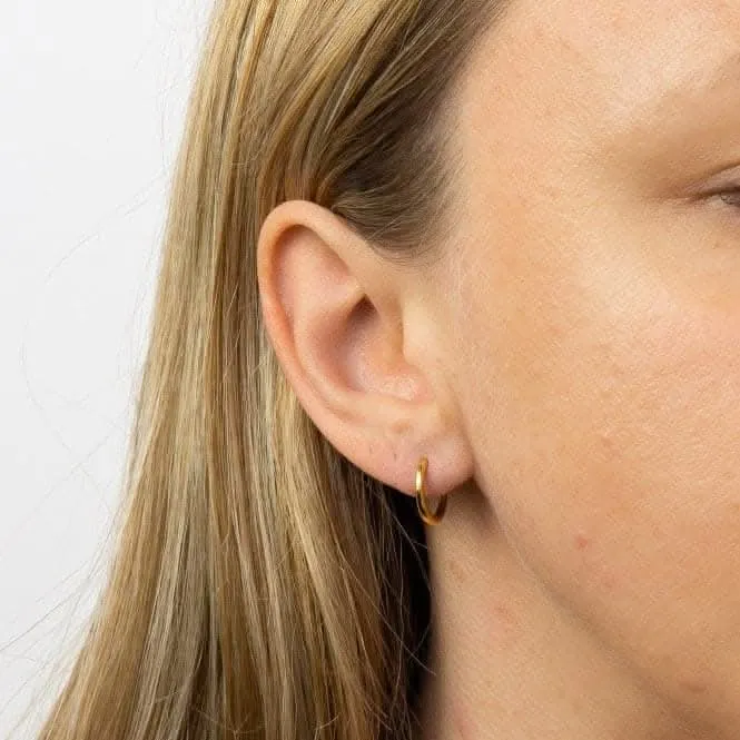 Yellow Gold Plated Hinged Hoop Earrings E6048